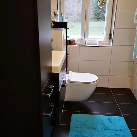 Holiday home Maison Au Pays Du Cristal Reyersviller